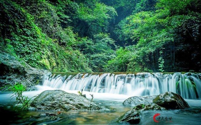逃出田园庭院